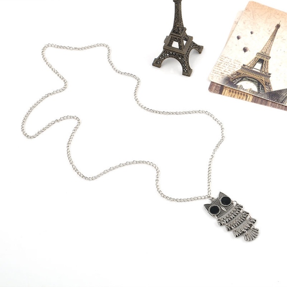 Silver Detail Owl Chain Pendant Necklace - Picture 4 of 6